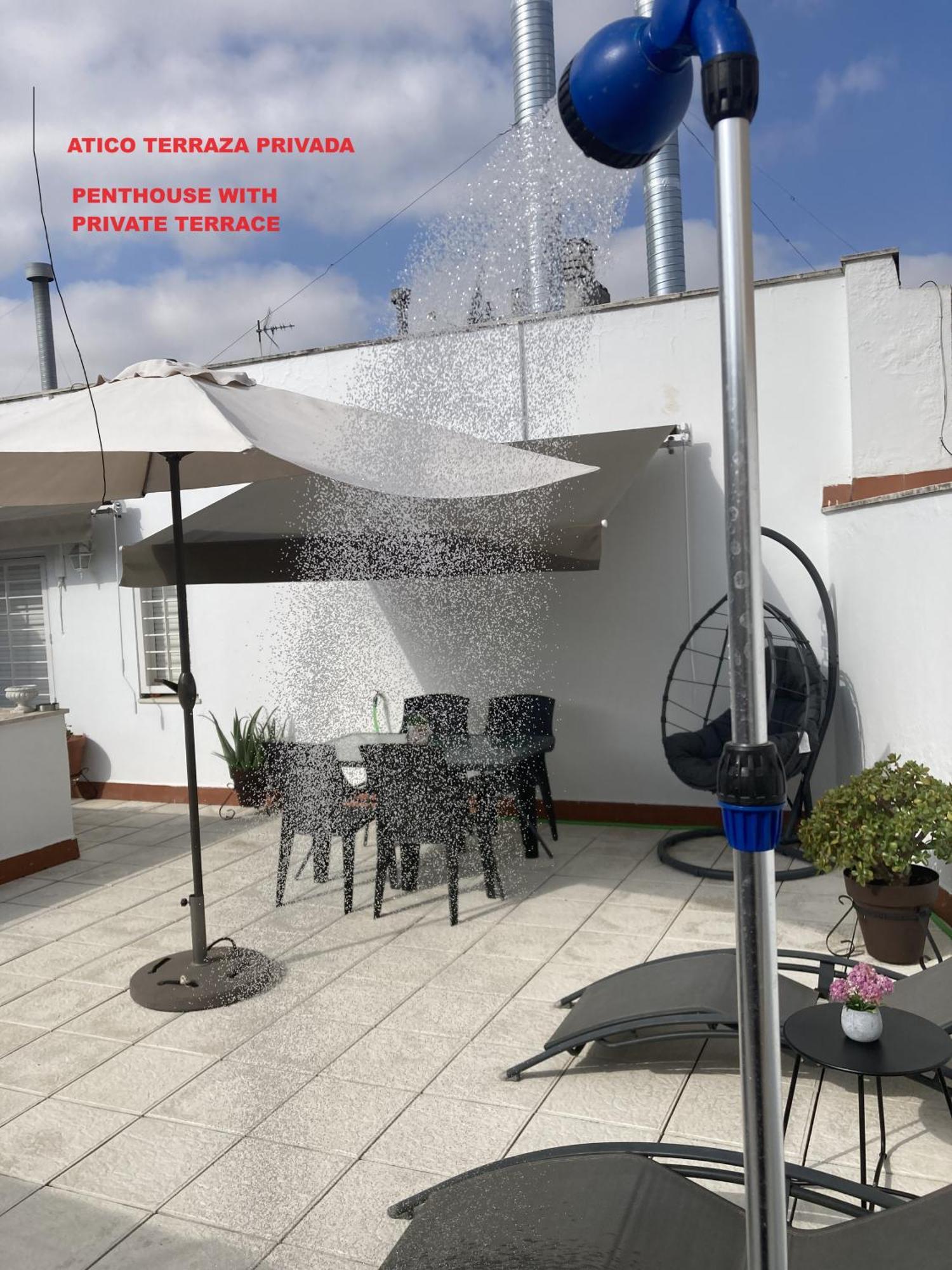 Jimios Alcazar Catedral Apartment เซบีญา ภายนอก รูปภาพ